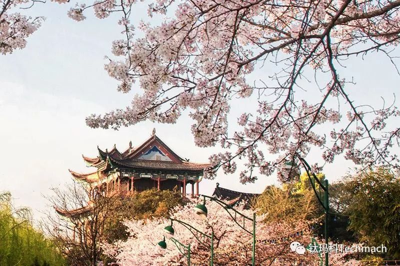 【鈦·想約 】 4月17日武漢CIDPEX2019"紙"引行業"衛"來